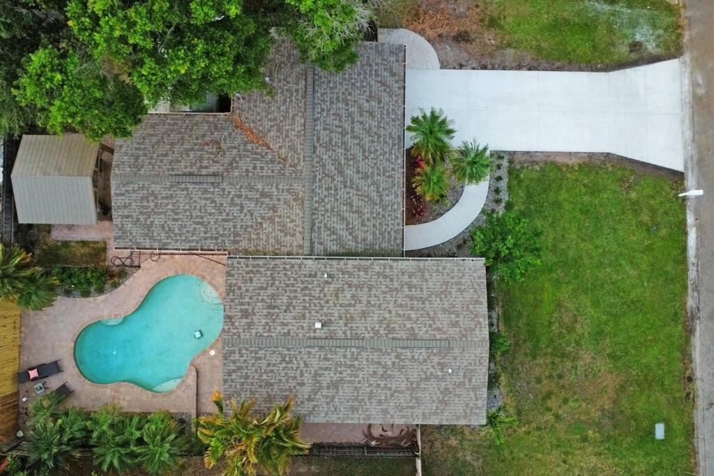Palm Tree Paradise Tampa Pool Home 外观 照片